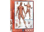 Puzzle Da 1000 Pezzi - Puzzle - Anatomia - Muscolatura Umana + Set Di 3 Accessori Per Puzzle