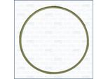 Guarnizione Alloggiamento Collettore Di Aspirazione Bmw 2.5 3.0