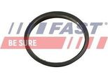 Fast FT49853 - Oe 4570 18 Guarnizione, Pompa Del Vuoto Per Ranger (Tke), Transit, Transit Tourneo, Transit V363
