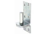 Alberts 311049 Staffa Su Piastra, Nelle Versioni Con Ganci Di O Dii, Zincata, Passivata A Film Spesso, Arretramento Ø20 Mm, Piastra 167 X 60 Mm, Set Da 2