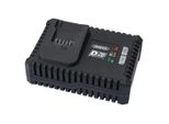 Draper Tools D20 Caricatore Rapido 20V