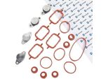 Set Di Guarnizioni Per Collettore Di Aspirazione Collettore Di Aspirazione Dr.Motor Automotive (DRM0587SL-22) Set Di Guarnizioni Per Collettore Di Aspirazione Testa Cilindro