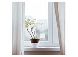 Logilink SH0109 Sensore Di Vibrazione Intelligente Wi-Fi Logilink, Bianco
