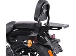 Sissy Bar Css Fix Per Harley Davidson Sportster 04-20 Con Portapacchi