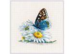 Confezione Da Ricamo A Punto Croce Riolis "Fragile Beauty"", Schema Contato, 15X15Cm"