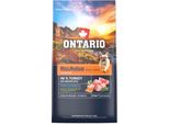 Ontario Mini