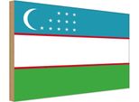 Vianmo Insegna In Legno 30X40 Cm Bandiera Usbekistans Flag Of Uzbekistan