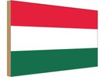 Vianmo Insegna In Legno 30X40 Cm Bandiera Ungarns Flag Of Hungary