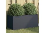 Maison Exclusive - Vaso Per Piante Antracite 62X30X29 Cm Acciaio
