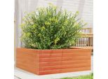Maison Exclusive - Vaso Da Fiori Marrone Cera 60X60X23 Cm Legno Massello Di Pino