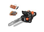 Fuxtec Motosega A Batteria 2X20V FX-E2KS Set Lunghezza Di Taglio 35 Cm, 4,2 Kg, Velocità Della Catena 15 M/S, Con 2 Batterie Da 2Ah E Caricatore Doppio Incluso