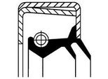 Corteco Anello Di Tenuta Per Albero Differenziale Simmerring 01026648B Per Volvo FM10 Fpm (Gomma Fluorurata)