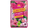 Forestina Substrato - Muscari E Altre Piante Da Balcone 70 L