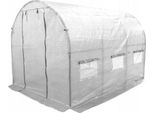 Polytunnel Da Giardino 2X3M Vespagarden Extra Spesso - 6M2 Bianco