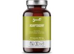 Panaseus Adaptogeny (50 Capsule) BI9298