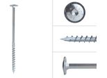 Viti A Testa Bombata Zincate 10 X 200 Mm Torx 40 - Confezione Da 50 Pezzi