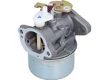 799869 Sostituzione Del Carburatore Del Tosaerba