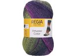 Filato Regia Virtuoso Color Forget Me Not Knitting