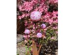 Fiore Di Vetro In Acciaio Inox Ferrum, Sfere Rosa-Viola