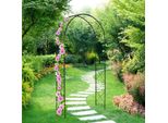 Arco Da Giardino In Metallo Per Piante Rampicanti - Nero
