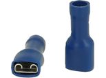 F611638D Prese A Lamelle STEX24, Spina 6,3 X 0,8 Mm Completamente Isolata, Con Sezione Di Crimpatura Dell'isolamento 1,5 Mm² - 2,5 Mm²