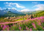 Castorland Hala Gsienicowa, Tatra, Polonia, Puzzle 1000 Pezzi