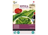Buzzy Xotica Komatsuna Senape Spinaci Semi - Circa 3 Gr | Buzzy_080423