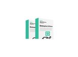 Hpe MSL6480 Kmip 1.2 Gestore Chiavi Ltu