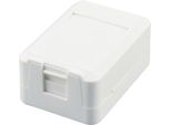 Equip 125121NEUEVERSION Equip Aufputzdose 1X Keystone Jack Mit Abdeckung Weiß