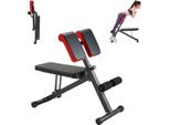 Succebuy Panca Per Iperestensione Roman Chair, Regolabile E Pieghevole Per L'estensione Della Schiena, Attrezzatura Per Home Fitness