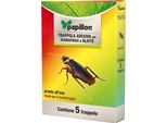 Trappola Adesiva Per Scarafaggi (5 Cartoni)