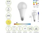 Lampadina Led Standard Con Filettatura E27. 20 Watt. Equivalente A 150 Watt. 2452 Lumen. Luce Calda (3000º K.)