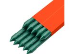 Succebuy Supporto Per Rampicanti, Confezione Da 10, Asta Per Piante ⌀20X2380 Mm, Aste In Metallo Plastificato, Supporto Per Piante Con Estremità Appuntita E Manopole Antiscivolo Per La Coltivazione Di Piante Rampicanti E Ortaggi