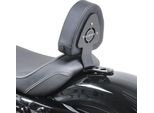 Sissybar Pilota Per Harley Davidson Sportster 04-20 Schienale Pilota
