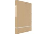 Oxford 400139835 Scatola Di Raccolta Oxford Touareg, Din A4+, Altezza Di Riempimento: 25 Mm, Beige