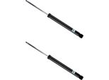Ammortizzatore Bilstein 19-263984