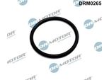 Guarnizione Valvola Egr Ford Focus 2.0Tdci 10-
