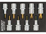 Hazet 163-271/9 Set Di Chiavi A Bussola ∙ Torx® ∙ Squadra Cava Da 1/2 Pollice (12,5 Mm) ∙ Profilo Torx® Interno ∙ T20 - T60 ∙ Numero Di Utensili: 9