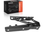 Frankberg 1X Cerniera Cofano Lato Passeggero Per Tesla Model S 5YJS 85 2012-2016