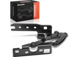Frankberg 1X Cerniera Cofano Lato Passeggero Per Bmw Serie 7 E65 E66 E67 2001-2008