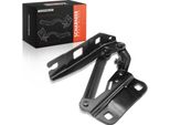 Frankberg 1X Cerniera Cofano Lato Passeggero Per Mercedes-Benz Classe Gl X164 V251 W251