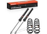 Frankberg 2X Molla Sospensione+2X Ammortizzatore Pressione Gas Posteriore Per Vw Bora 1J2 1998-2013