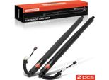 Frankberg 2X Ammortizzatore Portellone Posteriore Sinistro Destro Per Audi Audi Q4 E-Tron Suv F4B Electric Anno Dal 2021