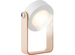 Techkidz, Luce Notturna Modello Zen, Oro