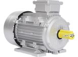 Motore Asincrono A Induzione Trifase, Grado Di Protezione IP55, 2895 Giri/Min, Argento