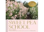 Scuola Sweet Pea