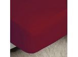 Lenzuolo Aderente In Percalle Belledorm, Easy-Care BM171 (Superking) (Rosa Pallido)