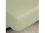 Lenzuolo Aderente In Percalle Belledorm, Easy-Care BM171 (Letto Singolo) (Avorio)
