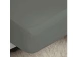 Lenzuolo Aderente In Percalle Belledorm, Easy-Care BM171 (Letto Singolo) (Grigio)