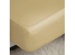 Lenzuolo Aderente In Percalle Belledorm, Easy-Care BM171 (Superking) (Rosa Scuro)